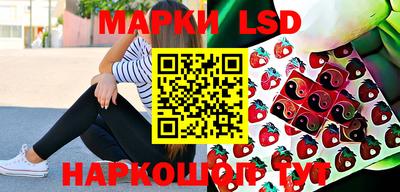 индика Абакан