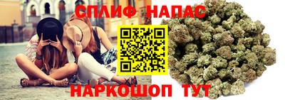 ALPHA PVP Аргун