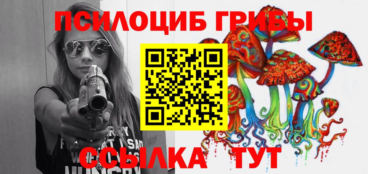 даркнет сайт  Краснознаменск  Галлюциногенные грибы MAGIC MUSHROOMS  Галлюциногенные грибы Cubensis 