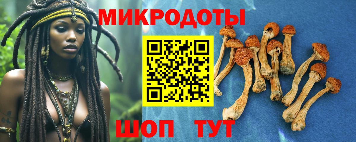 Галлюциногенные грибы мицелий  Вход с VPN  Галлюциногенные грибы мицелий  Краснознаменск 